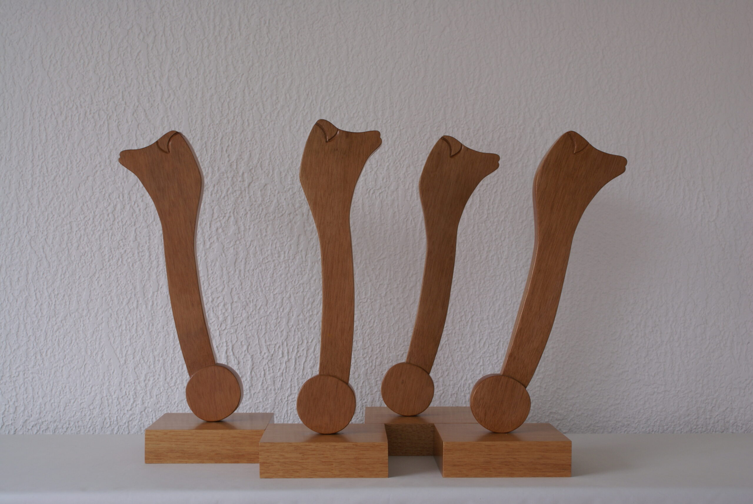 caballitos de mar