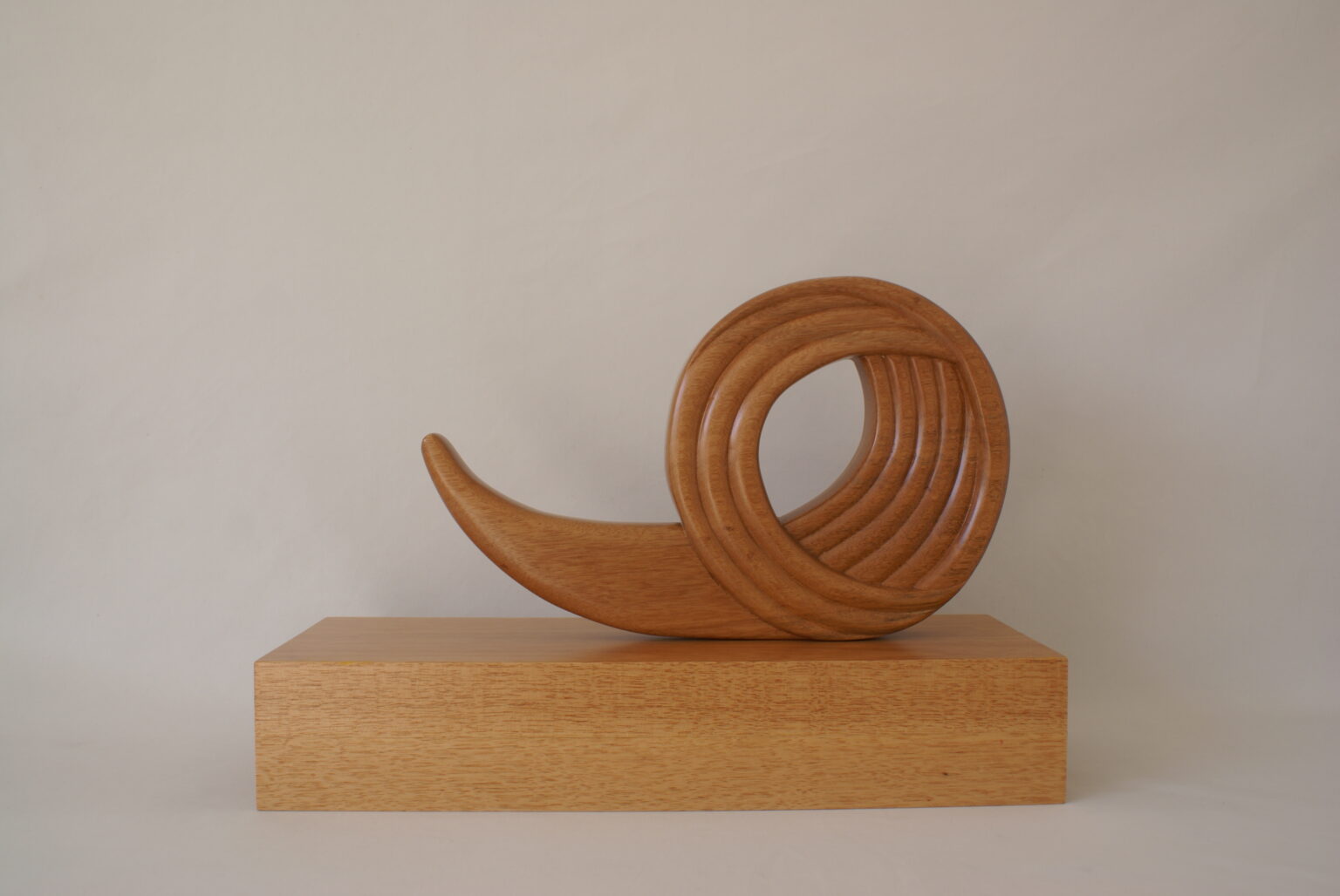 Caracol obras